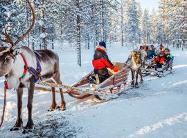 Đón chuyến xe tuần lộc tìm quê hương của ông già Noel – Phần Lan