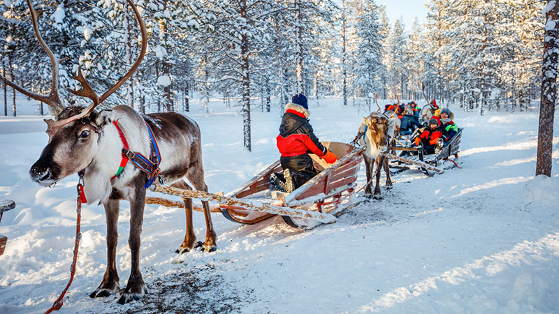 Đón chuyến xe tuần lộc tìm quê hương của ông già Noel - Phần Lan